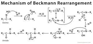 Beckmann Rearrangement: Definition, Examples, and Mechanism