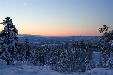 Landscape Photography of a Snow Covered Forest · Free Stock Photo