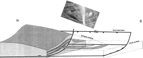 3D cross section of the plunging fold at outcrop # 9. The grey ribbons... | Download Scientific ...