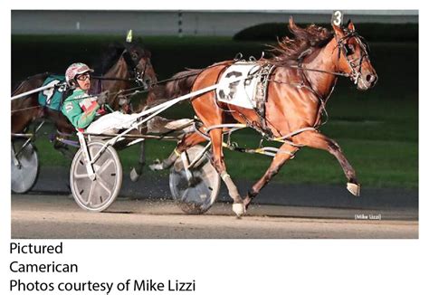 NYSS sophomore pacing fillies at Batavia Downs Saturday - Batavia Downs Gaming & Hotel