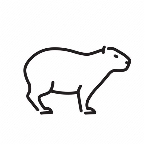 Animal, animals, capybara, mammal, nature, wildlife icon - Download on Iconfinder