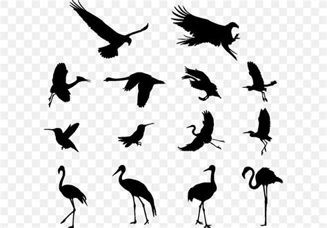 Crane Bird, PNG, 600x572px, Crane, Animal Migration, Beak, Bird, Bird Migration Download Free