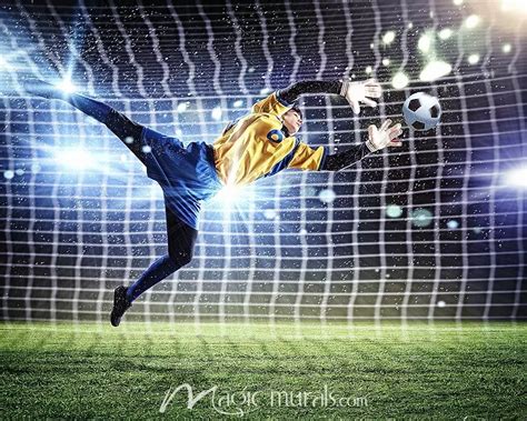 Soccer Goalkeeper Wallpaper Wall Mural by Magic Murals