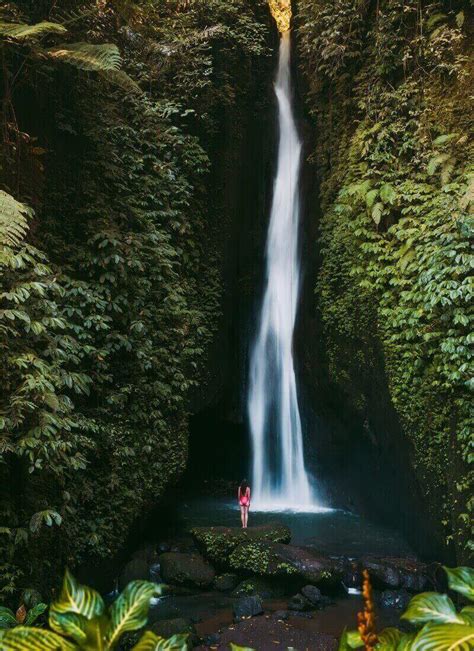 8 Jaw-Dropping Ubud Waterfalls You Can't Miss • Hoponworld