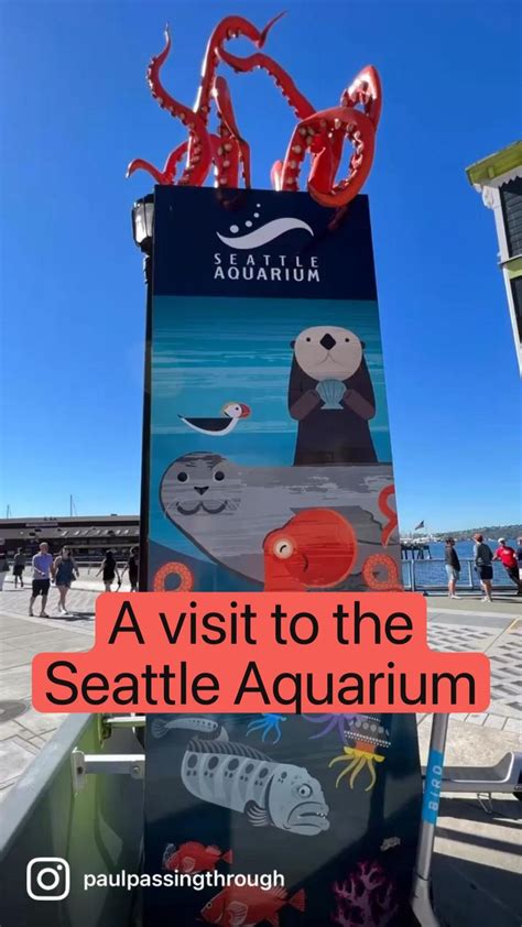 A visit to the Seattle Aquarium | Seattle aquarium, America travel, Seattle