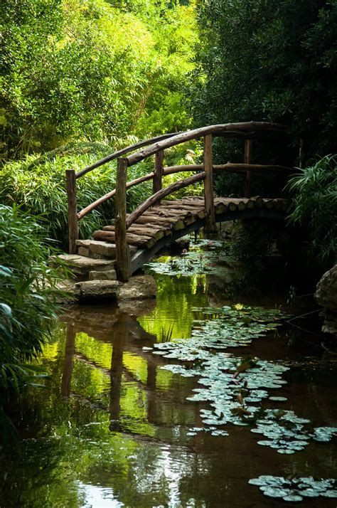 little bridge | Zilker Park Botanical Garden; Austin, Texas | raspberrytart | Flickr