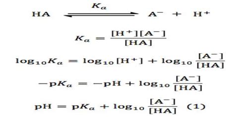 Henderson-Hasselbalch Equation - QS Study