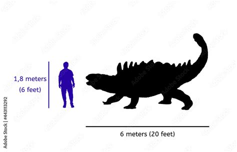 Comparison size between ankylosaurus and human. Illustration of silhouette of ankylosaurus body ...