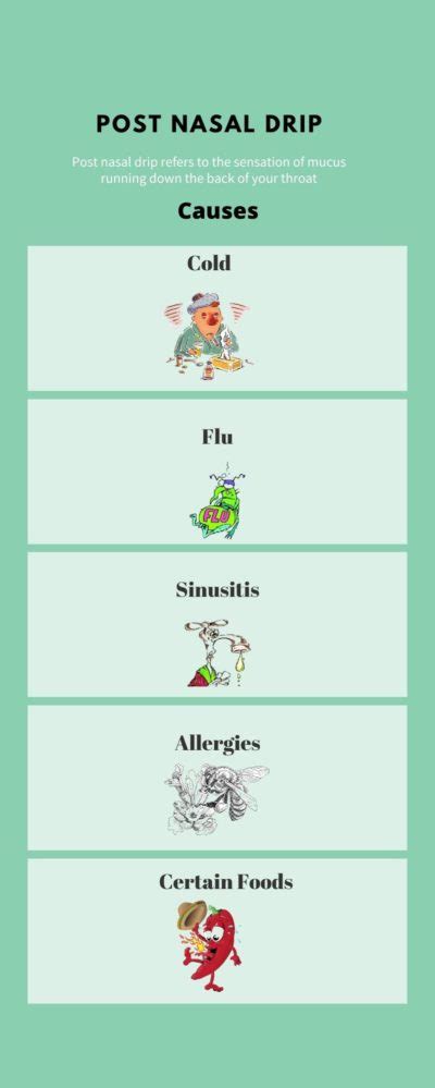 Post Nasal Drip: Symptoms, Causes, and Solutions