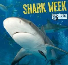 SponsorPitch - Discovery Channel's Shark Week