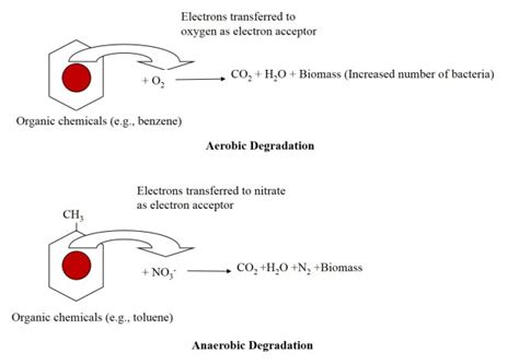 Bioremediation- The New Age Cleansing Technology of the Environment - Green Clean Guide