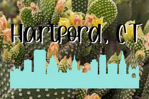 What Planting Zone Is Hartford, CT And What Are The Best Succulents For There? - SUCCULENTdotCARE