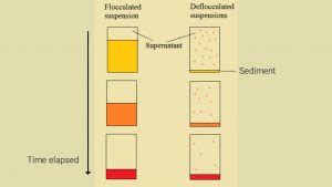 Difference Between Flocculated and Deflocculated Suspension