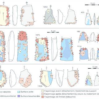 Carte de Tubuai. – Map of Tubuai. | Download Scientific Diagram