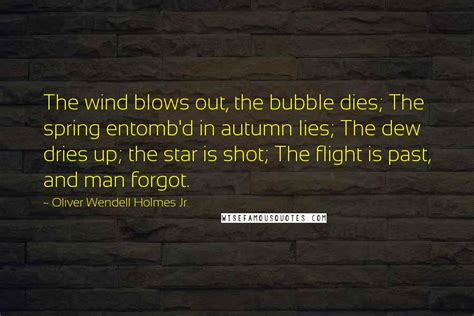 Oliver Wendell Holmes Jr. Quotes: The wind blows out, the bubble dies; The spring entomb'd in ...