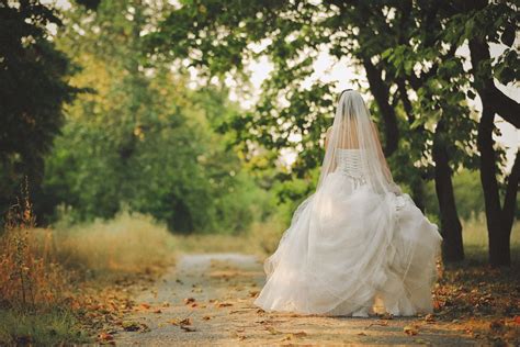 Free picture: bride, wedding dress, walking, autumn, forest road, wedding, container, dress ...