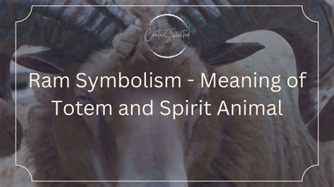 Ram Symbolism - Meaning of Totem and Spirit Animal