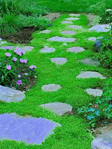 STEPABLES.COM - Plants that tolerate foot traffic | Ground cover plants, Lawn alternatives ...