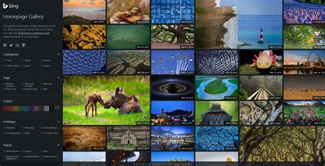 Bing Turns Five, Microsoft Rolls Out Huge Wallpaper Gallery