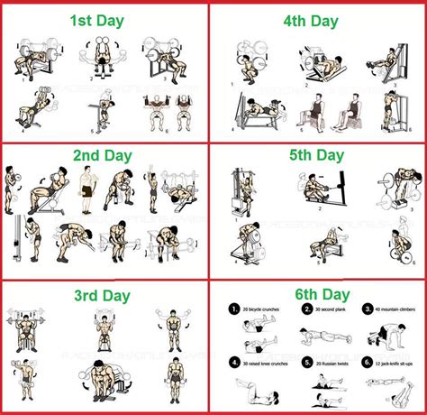 The Perfect 6 Day Beginner's Bodybuilding Program - Bodydulding