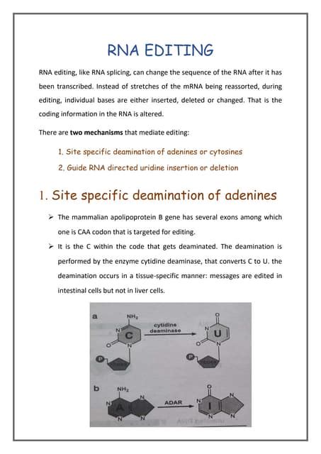 RNA Editing | PDF