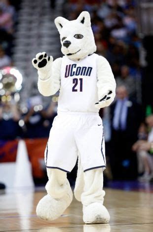 Connecticut Huskies mascot | Uconn, Uconn huskies, Connecticut huskies