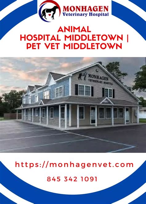 PPT - Middletown Vet | Pet Veterinary Services | Animal Hospital at Middletown PowerPoint ...