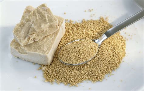 What Is Torula Yeast?