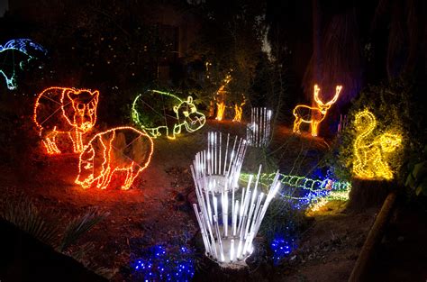 ZooLights! It's Amazing Christmas Lights at the Phoenix Zoo! - Phoenix ...