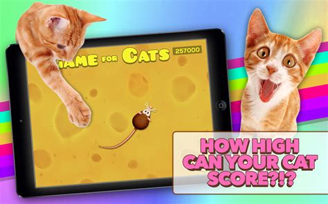 Game for Cats : Amazon.co.uk: Apps & Games