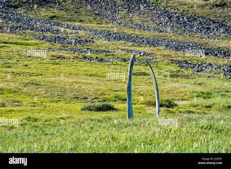 Whale Bone Alley, Ittygran Island, Chukotka, Russia Stock Photo - Alamy