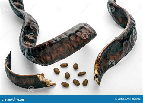 Carob pods stock image. Image of seed, legume, tree, diuretic - 32476899