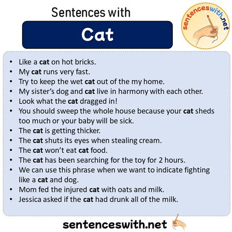 Sentences with Cat, Sentences about Cat in English - SentencesWith.Net