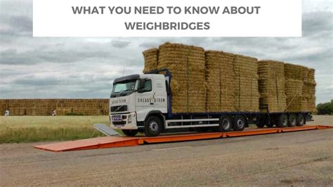 What you need to know about weighbridges - Expert Zine