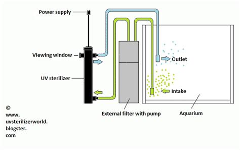 UV sterilizer - the way to crystal clear aquarium water!: Setup UV sterilizer - How to install a ...