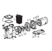 Hayward Super Pump - Parts Diagram