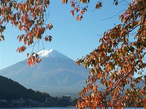 Mt Fuji - late October 2014 Taken in front of Kukuna, Fujikawaguchiko | Fujikawaguchiko, Natural ...