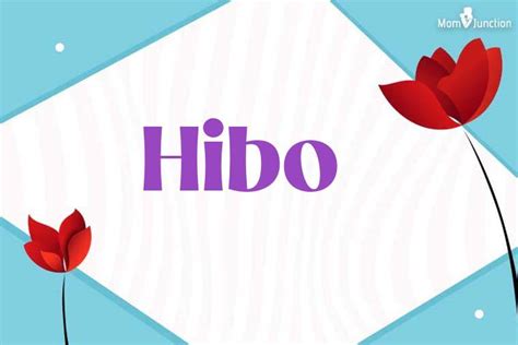 Explore Hibo: Meaning, Origin & Popularity