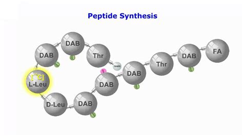 Facts about Custom Peptide Synthesis You Should Know About | Best Diet ...