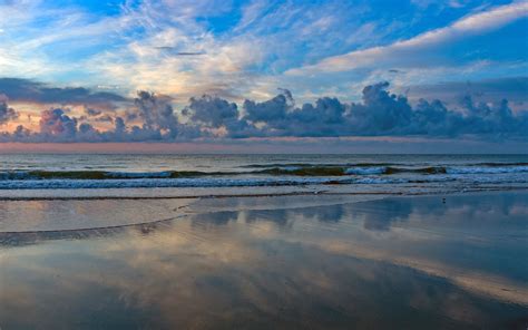 1440x900 Huntington Beach State Park In South Carolina Wallpaper,1440x900 Resolution HD 4k ...