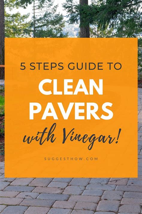 How to Clean Pavers with Vinegar – Follow 5 Easy Steps | Pavers, Cleaning pavers, Vinegar cleaning