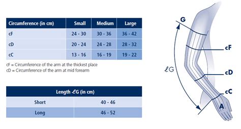 Sigvaris Size Charts - Compression Stockings