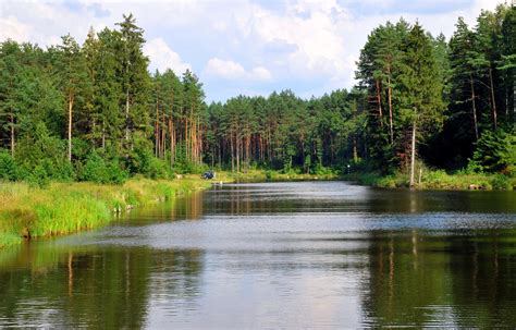 Rivers, Forests, Lithuania HD Wallpaper