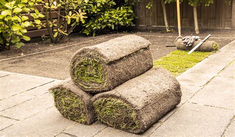 5 Important Steps for Preparing for Sod Installation