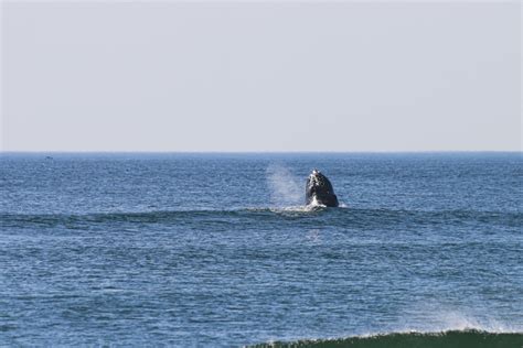 Discover the Beach Beaches in Massachusetts