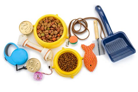 The Pet Supplies You Need for a New Dog or Cat