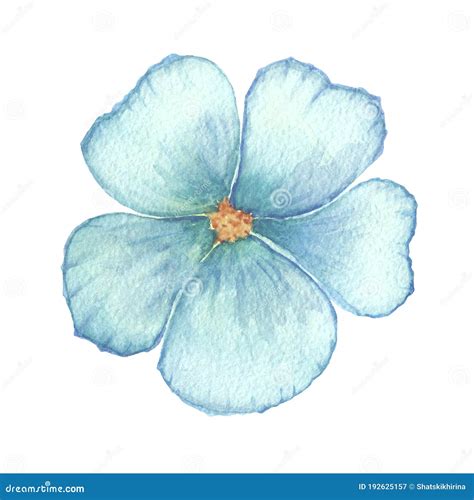 Watercolor Blue Flower Illustration. Blue Linen Flower. Forger-me-not Flower. Hibiscus Stock ...