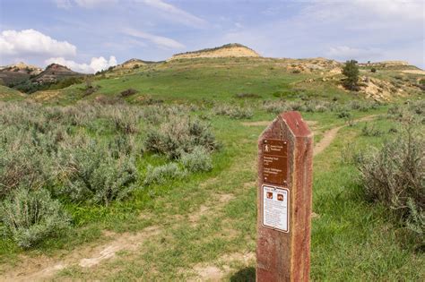 a sign on the side of a dirt road in front of a grassy hill with trees and bushes