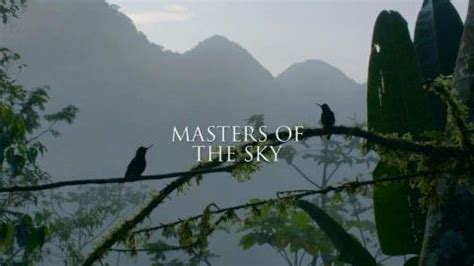 Masters of the Sky - Life in the Air - watch free online documentaries ...