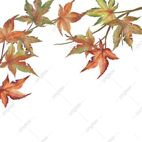 Autumn Maple Tree Branches In Watercolor Drawing, Tree Drawing, Branches Drawing, Tree Sketch ...